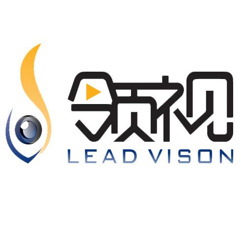 【领视安防】广西领视网络科技技术招聘:公司标志 logo